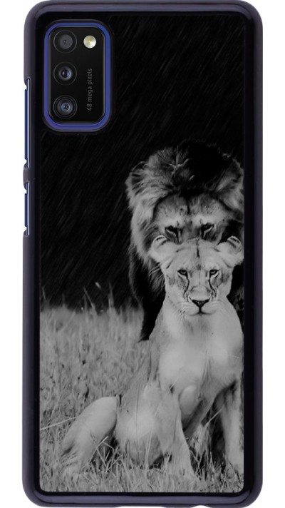 Coque Samsung Galaxy A41 - Angry lions