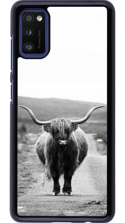 Hülle Samsung Galaxy A41 - Highland cattle