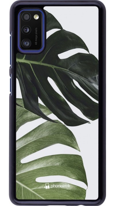 Coque Samsung Galaxy A41 - Monstera Plant