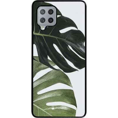 Coque Samsung Galaxy A42 5G - Monstera Plant