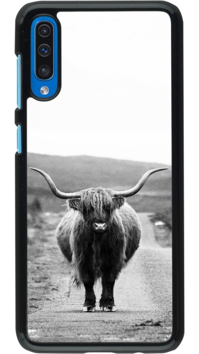 Coque Samsung Galaxy A50 - Highland cattle