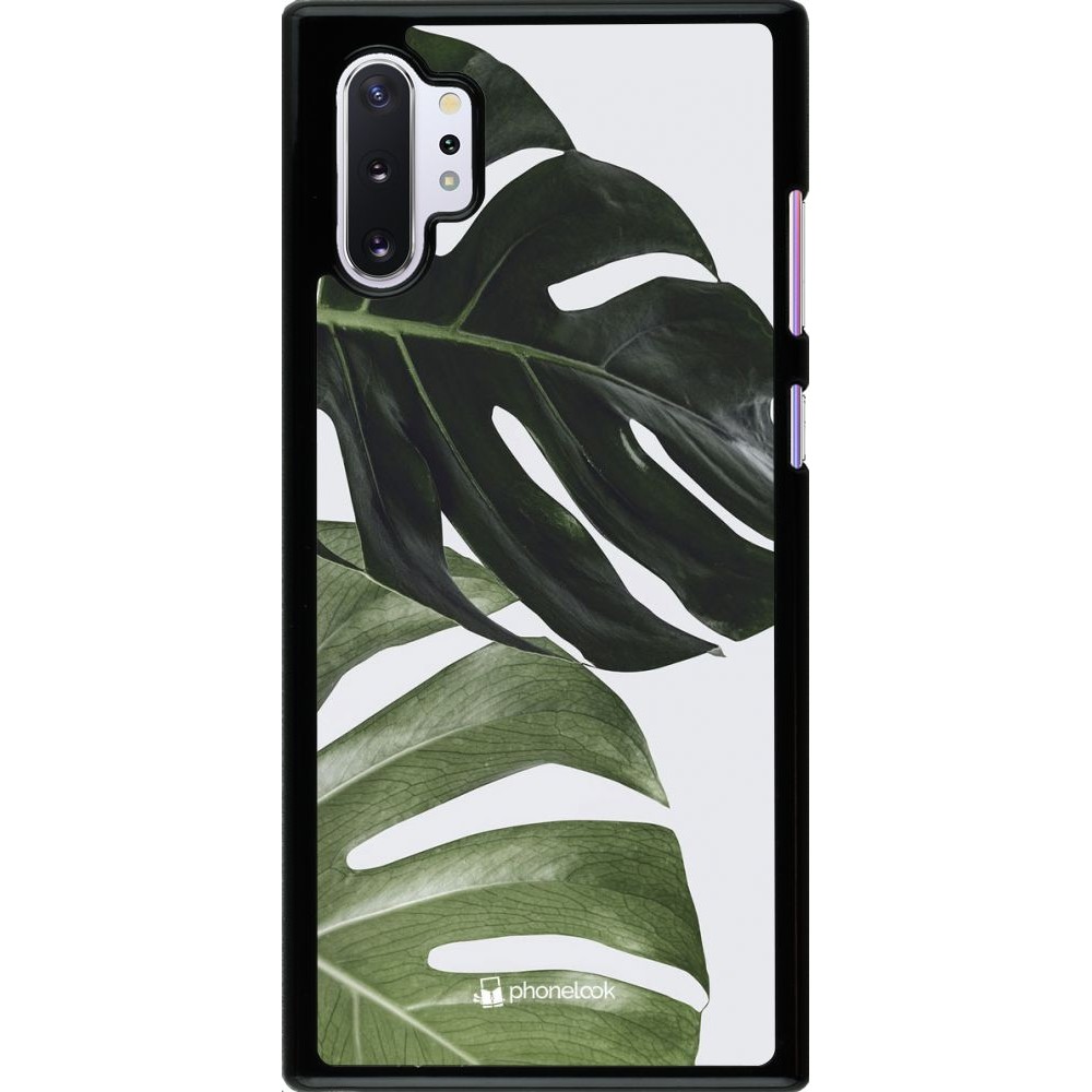 Hülle Samsung Galaxy Note 10+ - Monstera Plant