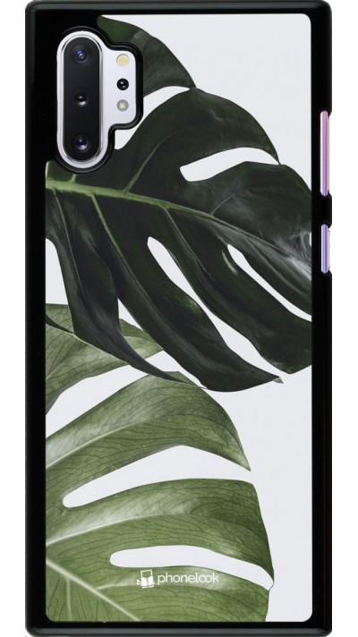 Hülle Samsung Galaxy Note 10+ - Monstera Plant