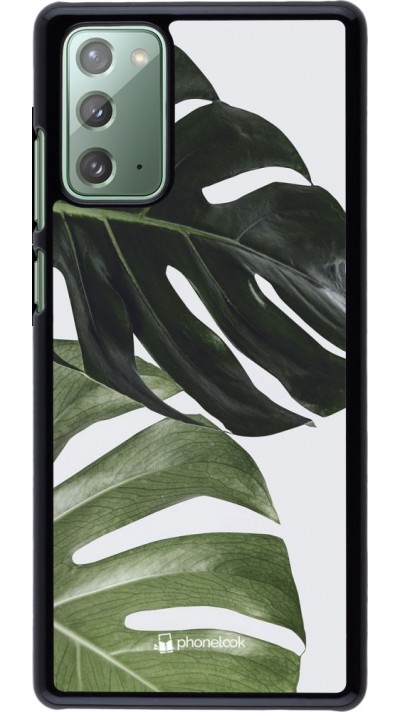 Hülle Samsung Galaxy Note 20 - Monstera Plant