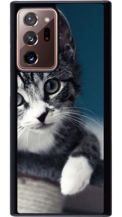 Coque Samsung Galaxy Note 20 Ultra - Meow 23