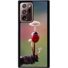 Coque Samsung Galaxy Note 20 Ultra - Ladybird on a mushroom 2026