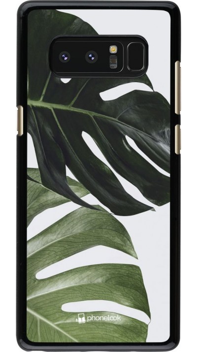 Coque Samsung Galaxy Note8 - Monstera Plant