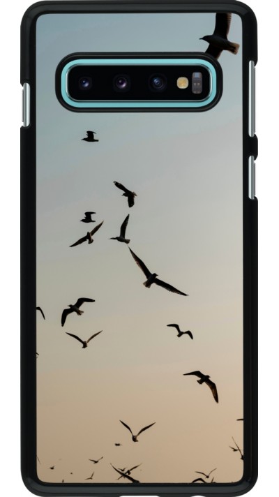 Coque Samsung Galaxy S10 - Autumn 22 flying birds shadow