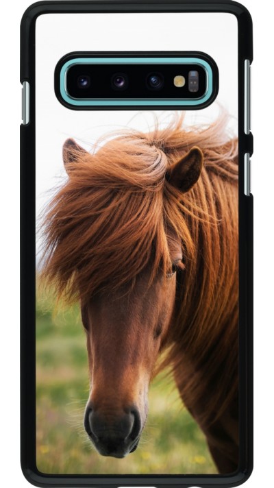 Coque Samsung Galaxy S10 - Autumn 22 horse in the wind