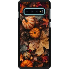 Samsung Galaxy S10 Case Hülle - Autumn 25 Pumpkin