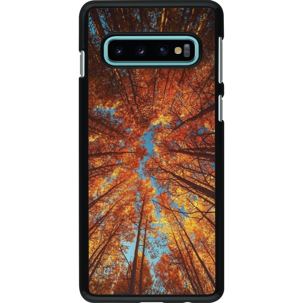 Samsung Galaxy S10 Case Hülle - Autumn 25 Trees