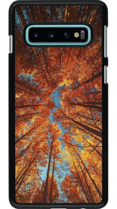 Samsung Galaxy S10 Case Hülle - Autumn 25 Trees