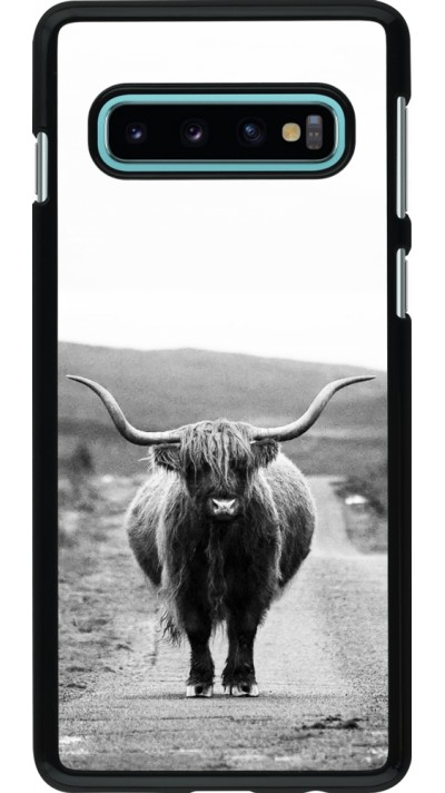 Hülle Samsung Galaxy S10 - Highland cattle