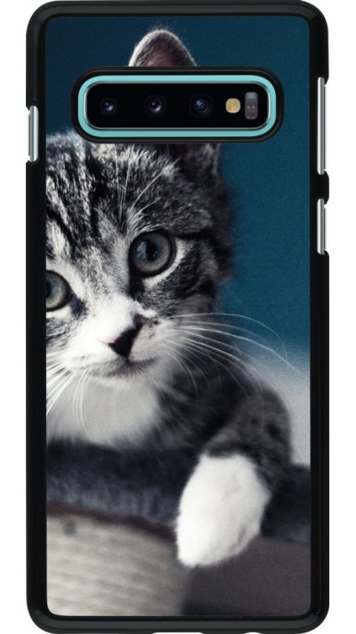 Coque Samsung Galaxy S10 - Meow 23