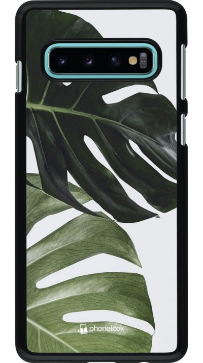 Hülle Samsung Galaxy S10 - Monstera Plant