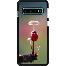 Coque Samsung Galaxy S10 - Ladybird on a mushroom Spring 2026