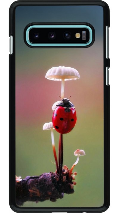 Coque Samsung Galaxy S10 - Ladybird on a mushroom Spring 2026