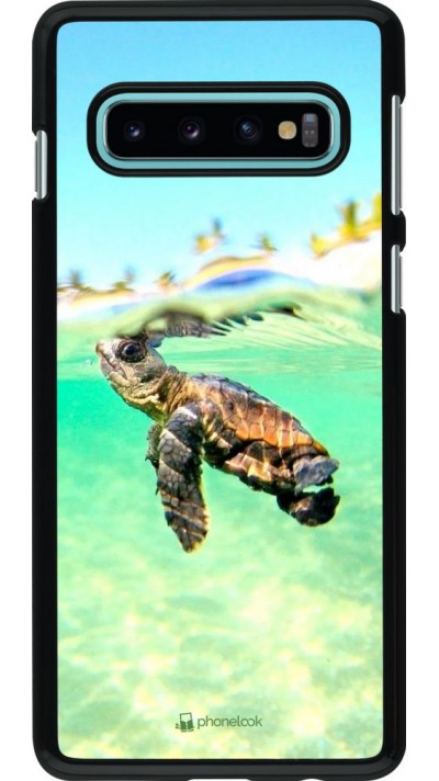 Coque Samsung Galaxy S10 - Turtle Underwater