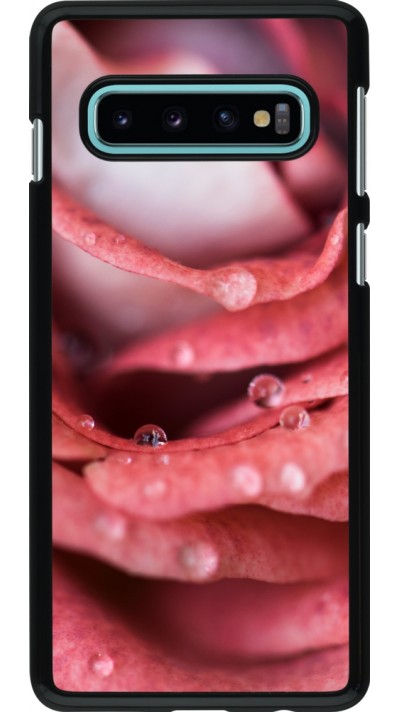 Coque Samsung Galaxy S10 - Valentine 2023 wet petals