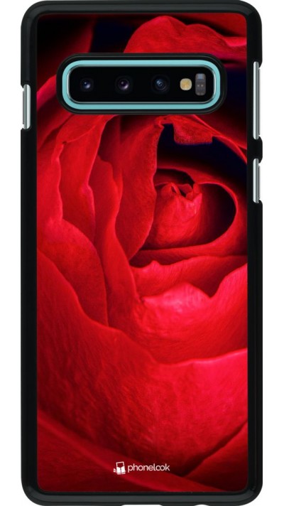 Hülle Samsung Galaxy S10 - Valentine 2022 Rose