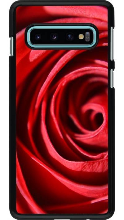 Coque Samsung Galaxy S10 - Valentine 2023 close up rose