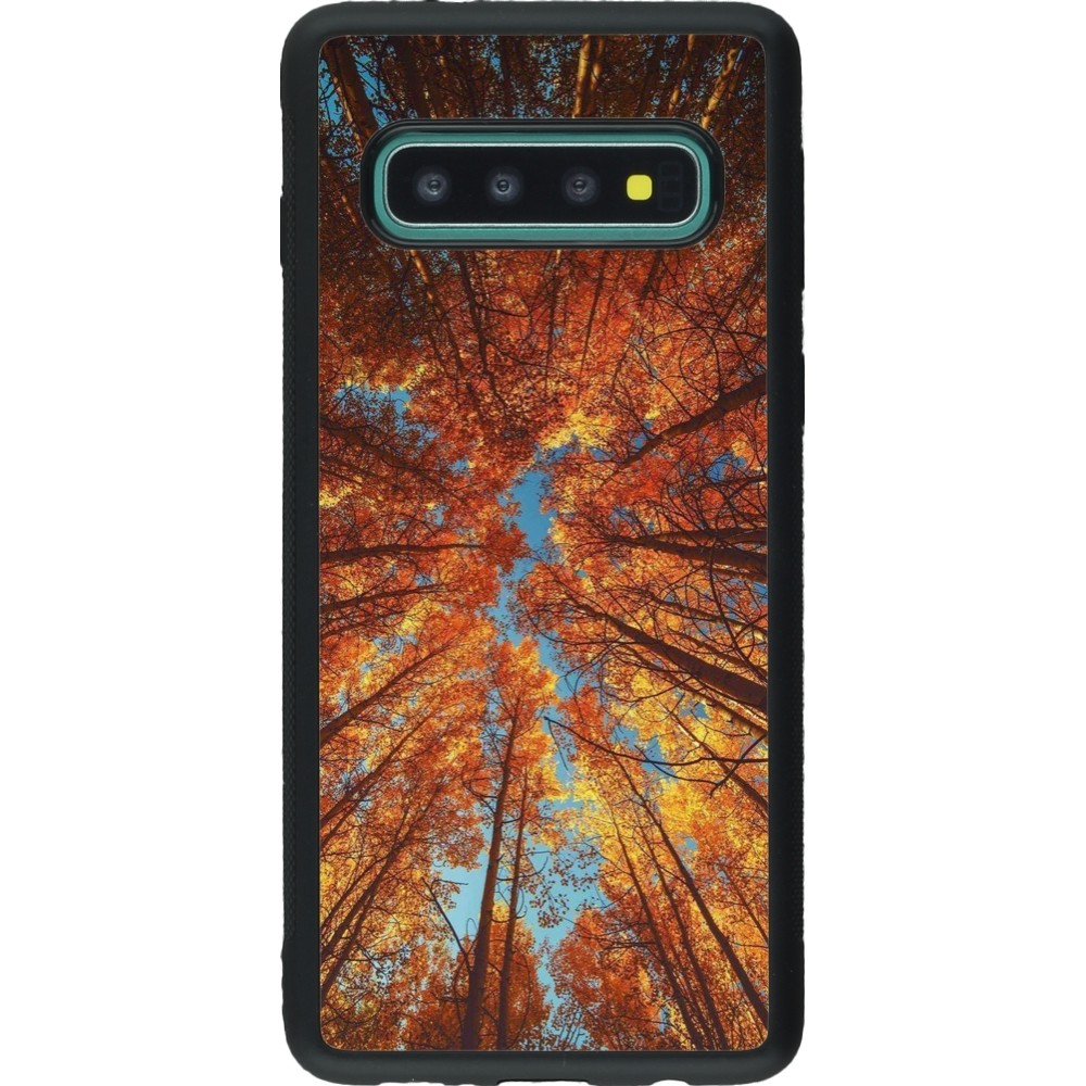 Samsung Galaxy S10 Case Hülle - Silikon schwarz Autumn 25 Trees