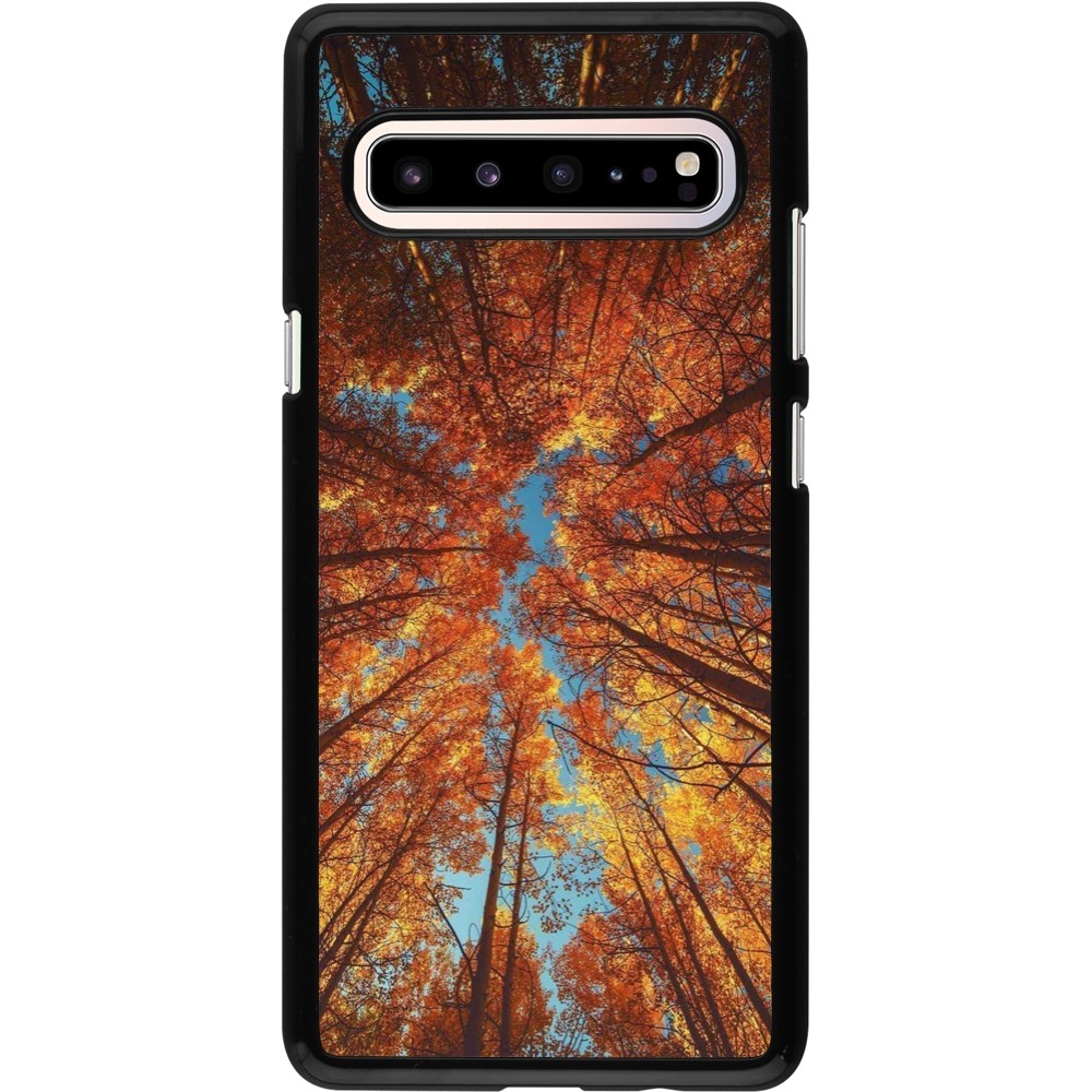 Coque Samsung Galaxy S10 5G - Autumn 25 Trees