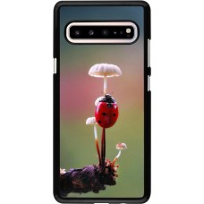 Coque Samsung Galaxy S10 5G - Ladybird on a mushroom 2026