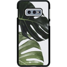 Coque Samsung Galaxy S10e - Monstera Plant