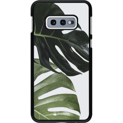 Coque Samsung Galaxy S10e - Monstera Plant