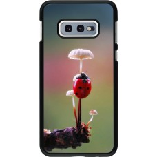 Samsung Galaxy S10e Case Hülle - Ladybird on a mushroom Spring 2026