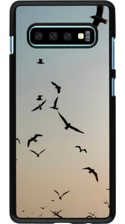 Samsung Galaxy S10+ Case Hülle - Autumn 22 flying birds shadow