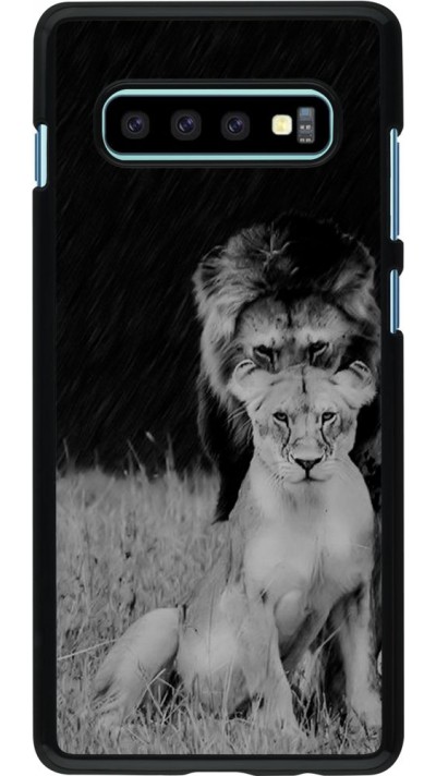 Coque Samsung Galaxy S10+ - Angry lions
