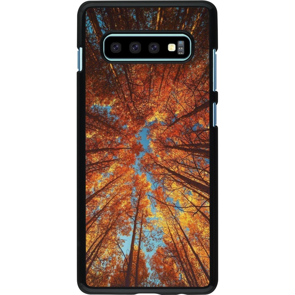 Samsung Galaxy S10+ Case Hülle - Autumn 25 Trees