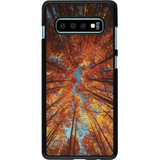 Samsung Galaxy S10+ Case Hülle - Autumn 25 Trees