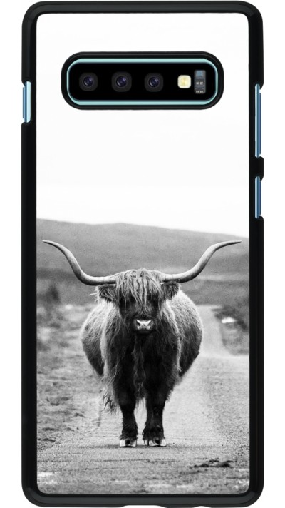 Hülle Samsung Galaxy S10+ - Highland cattle