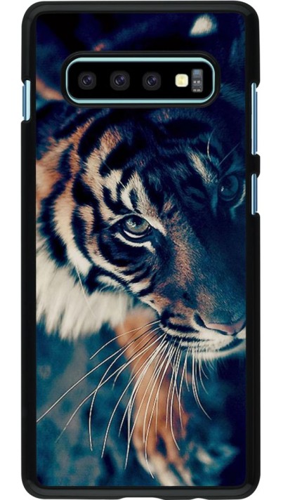 Coque Samsung Galaxy S10+ - Incredible Lion
