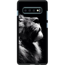 Coque Samsung Galaxy S10+ - Lion looking up