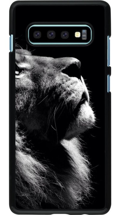 Coque Samsung Galaxy S10+ - Lion looking up