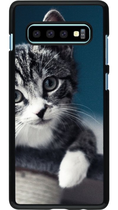 Hülle Samsung Galaxy S10+ - Meow 23