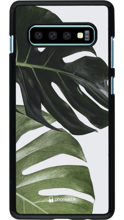 Hülle Samsung Galaxy S10+ - Monstera Plant