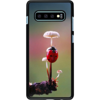 Coque Samsung Galaxy S10+ - Ladybird on a mushroom Spring 2026