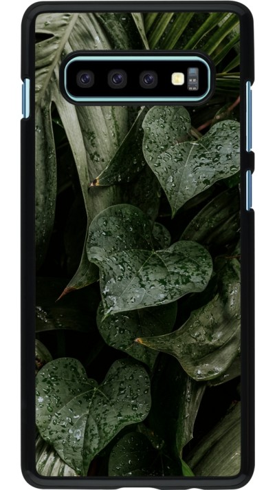 Coque Samsung Galaxy S10+ - Spring 23 fresh plants