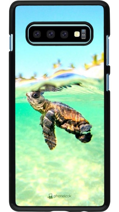 Coque Samsung Galaxy S10+ - Turtle Underwater