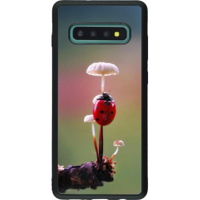 Samsung Galaxy S10+ Case Hülle - Silikon schwarz Ladybird on a mushroom Spring 2026