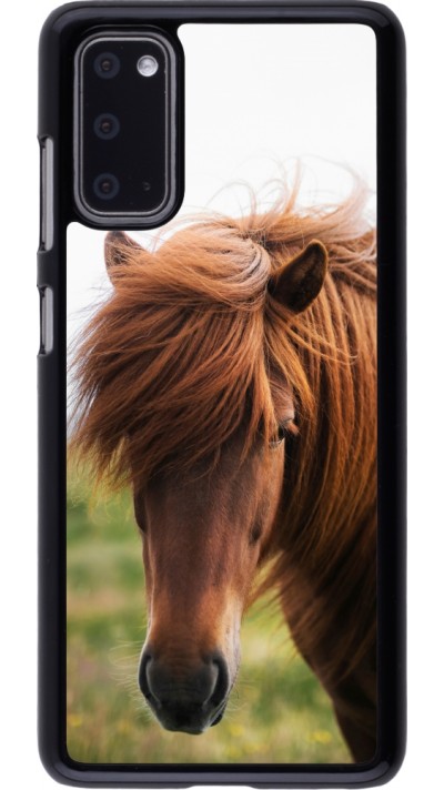 Coque Samsung Galaxy S20 - Autumn 22 horse in the wind