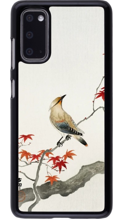 Coque Samsung Galaxy S20 - Japanese Bird