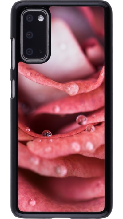 Coque Samsung Galaxy S20 - Valentine 2023 wet petals