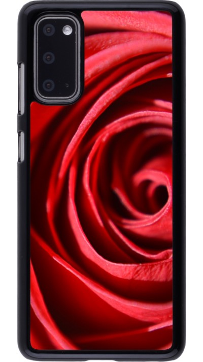 Coque Samsung Galaxy S20 - Valentine 2023 close up rose