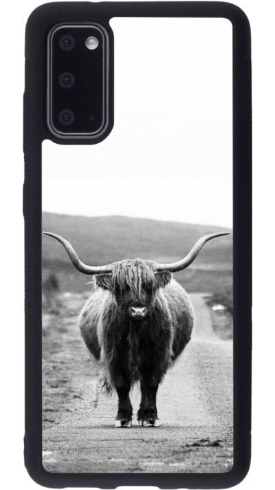 Coque Samsung Galaxy S20 - Silicone rigide noir Highland cattle